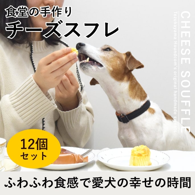 ������ ��Ʋ�μ�����������ե� 12�ĥ��åȡڥѥå������ѹ����ޤ����ۡڥϥ���ɥ��࿩Ʋ��