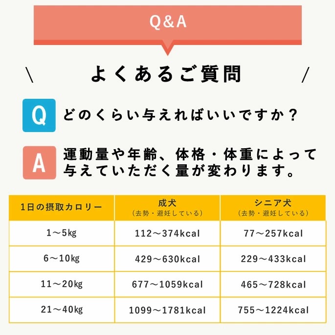 ������ ��Ʋ�μ�����������ե� 12�ĥ��åȡڥѥå������ѹ����ޤ����ۡڥϥ���ɥ��࿩Ʋ��