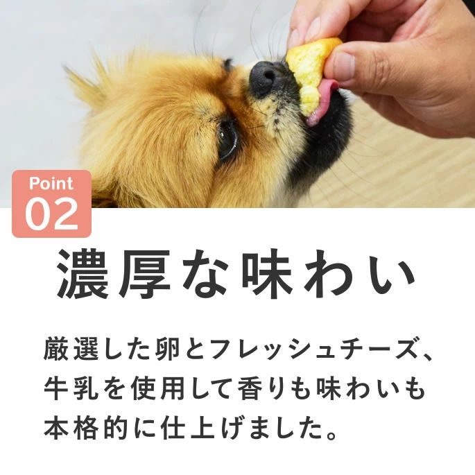 ������ ��Ʋ�μ�����������ե� 12�ĥ��åȡڥѥå������ѹ����ޤ����ۡڥϥ���ɥ��࿩Ʋ��