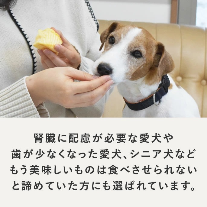 ������ ��Ʋ�μ�����������ե� 12�ĥ��åȡڥѥå������ѹ����ޤ����ۡڥϥ���ɥ��࿩Ʋ��