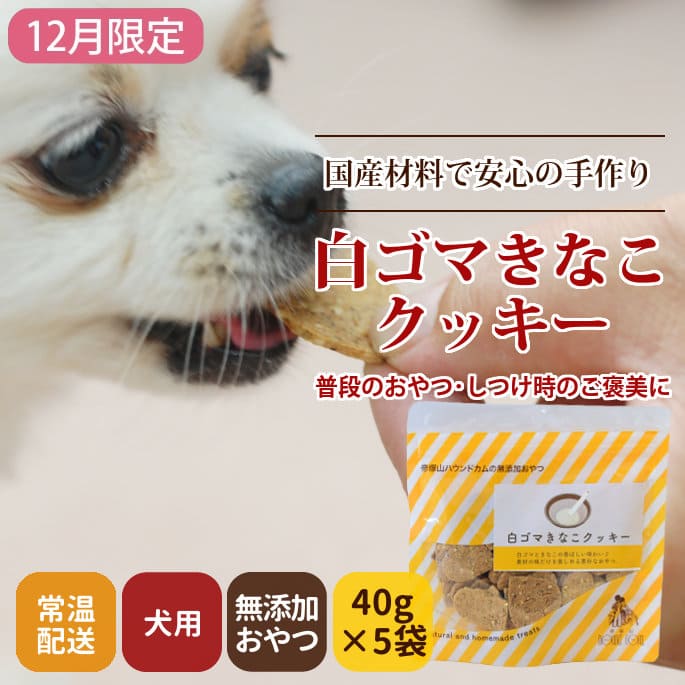 ��12�������򥴥ޤ��ʤ����å���5��+1�ޥ��å�