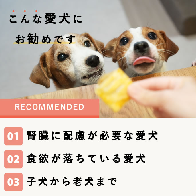 Ѥ Ʋꥢåץѥ 6 ڥϥɥ࿩Ʋ ء