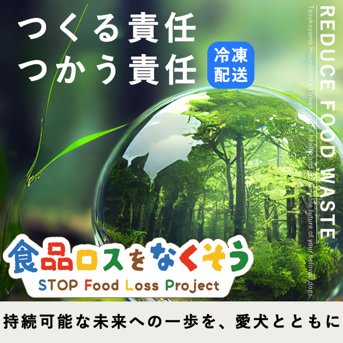 SDGs ʥʤ·ʡءۢ󥿡ͥåʸ꾦