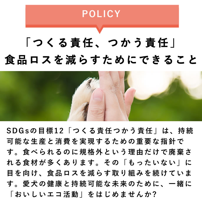 SDGs ʥʤ·ʡءۢ󥿡ͥåʸ꾦