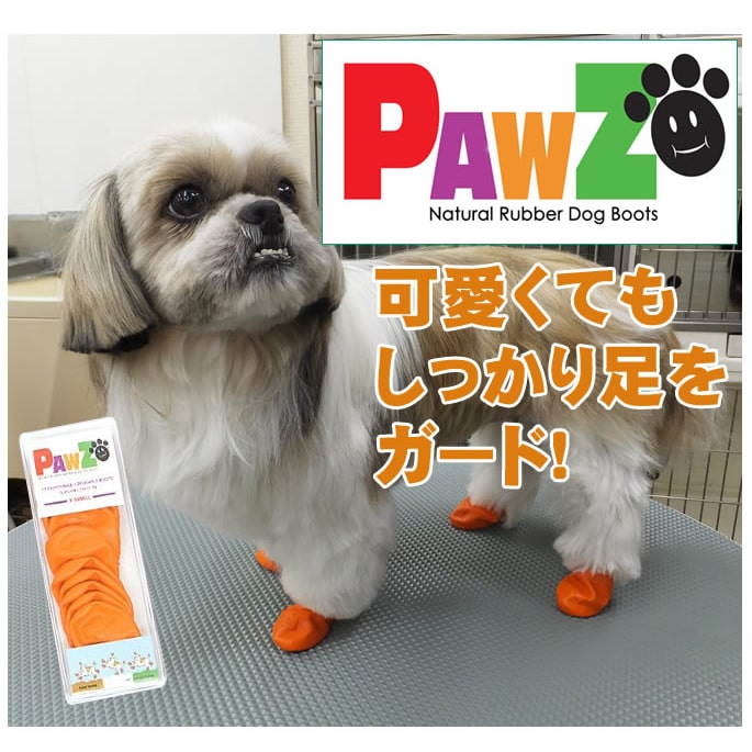 �����ݸ� ���ߤ���̤ˡ���С��֡��ġ�XS������󥸡���12������ۥ쥤��֡���