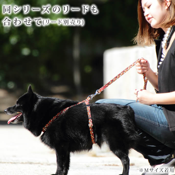 ���ѥϡ��ͥ���ASHU���ͥ����ϡ��ͥ������������緿���ޤ�