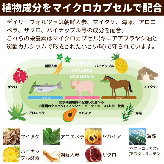 お取り寄せ】FORZA10｜デイリーフォルツァ ローグレイン ミニ