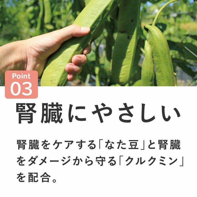 ̵źäġþƦܤοեӥե60g10+1ޥå