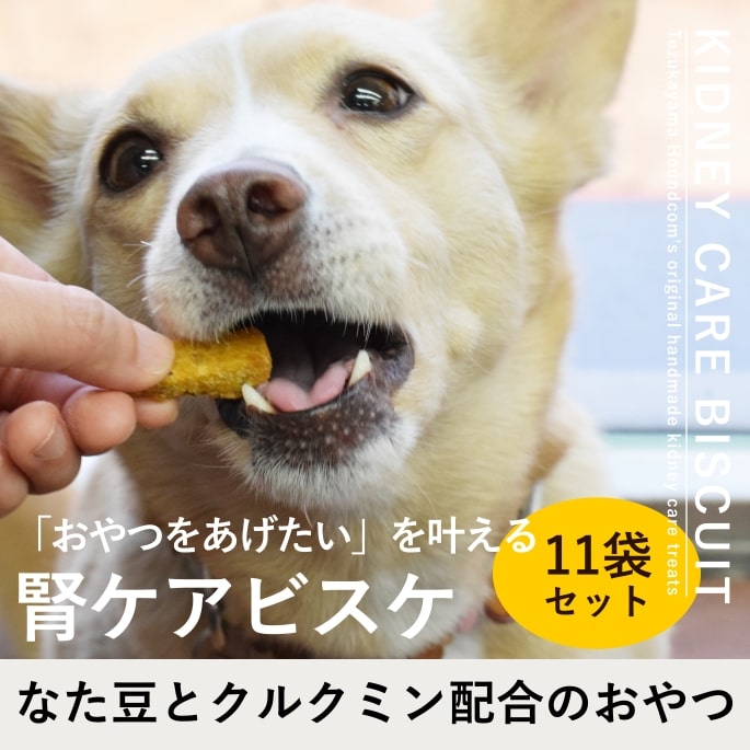 ̵źäġþƦܤοեӥե60g10+1ޥå