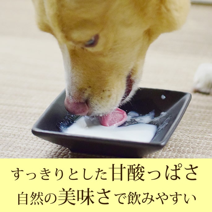 �ڥåȤΥΥ󥢥륳����ż�ȯ�ڤΤᤰ�ߡ��ץ졼��12�ܥ��åȡ�150g��