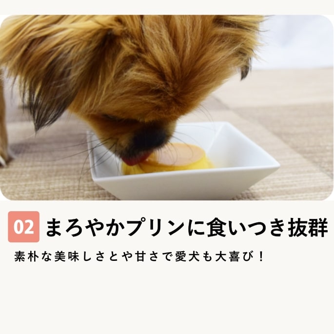 ������ ��Ʋ�μ���ץ�� 3�ĥ��åȡڥϥ���ɥ��࿩Ʋ��