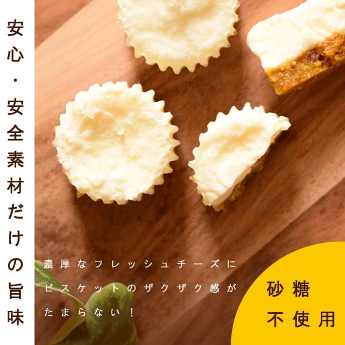 ��12�����۰����Ѥ���ġ���Ʋ�μ���쥢��������������5��+1�ޥ��åȡڥϥ���ɥ��࿩Ʋ�ۡ��������ء�