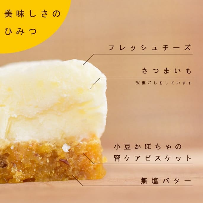 ��12�����۰����Ѥ���ġ���Ʋ�μ���쥢��������������5��+1�ޥ��åȡڥϥ���ɥ��࿩Ʋ�ۡ��������ء�