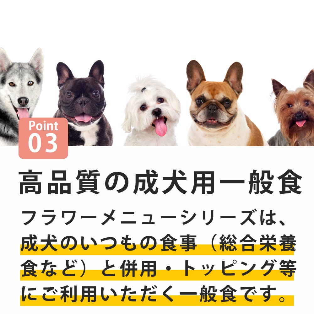 �ƥ饫�˥���Flower Menu �ե���˥塼 ���󥰥�å�������� 400g�������Ѱ��̿������������ǥ�٥����֥롡�Х�β֤Ӥ��ź����