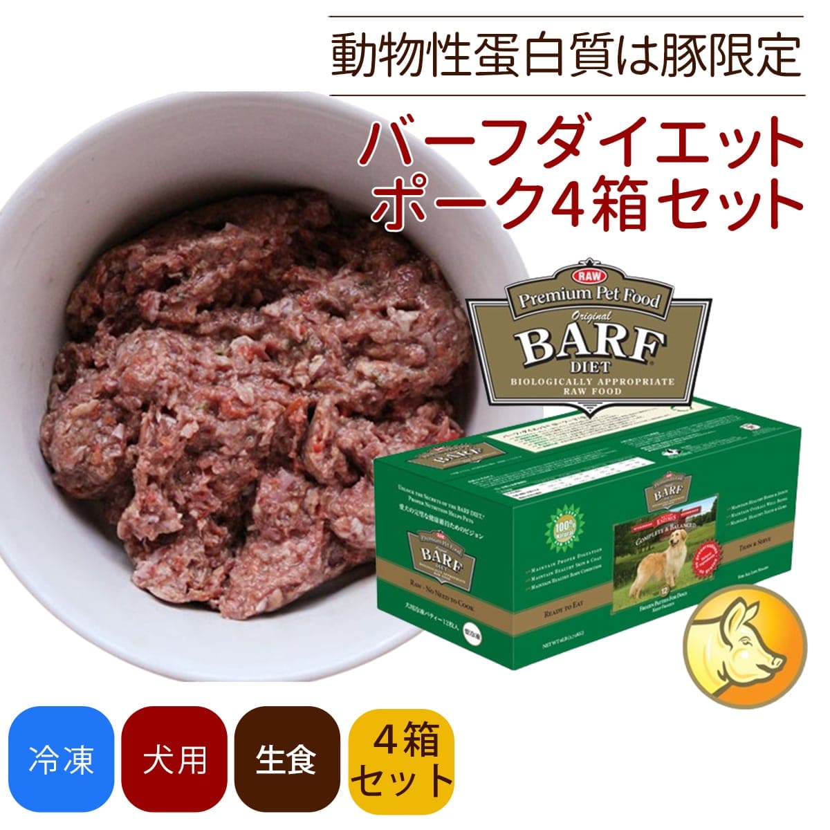 Сեåȡݡ 12ѥåߣȢڤޤա̵