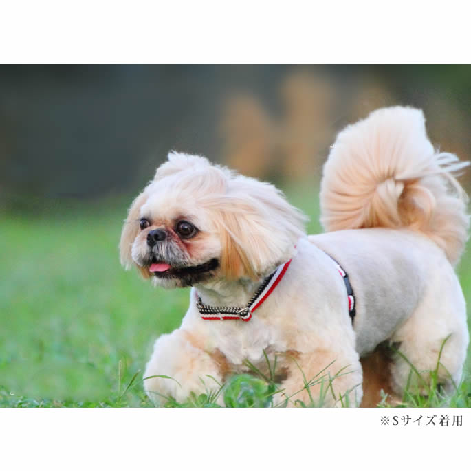 ѥϡͥASHUȥꥳ롡[ϡͥ]S