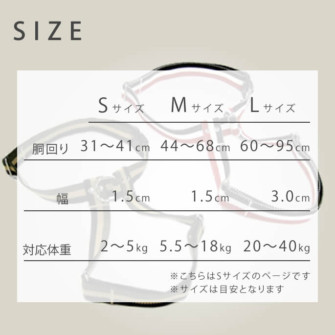 ѥϡͥASHUȥꥳ롡[ϡͥ]S