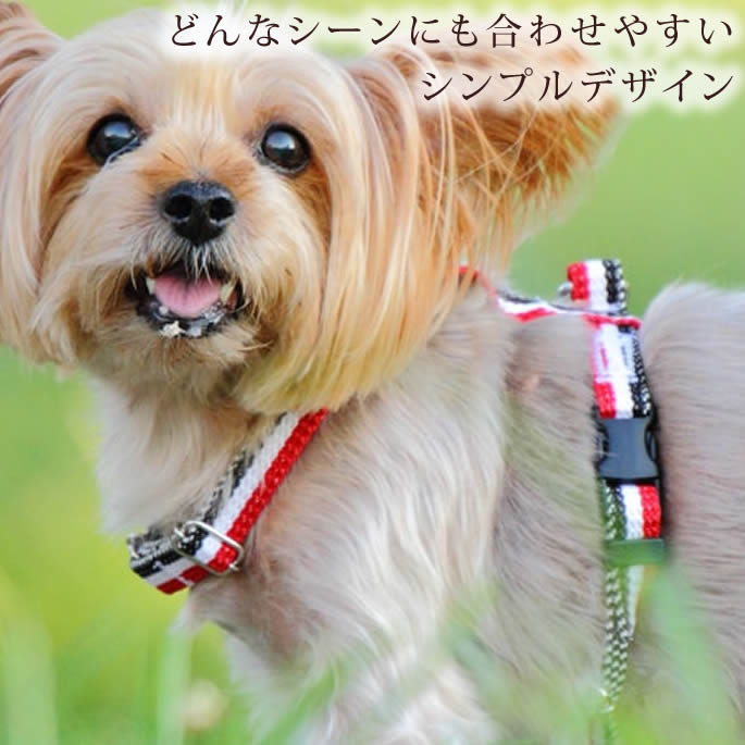 ѥϡͥASHUȥꥳ롡[ϡͥ]S