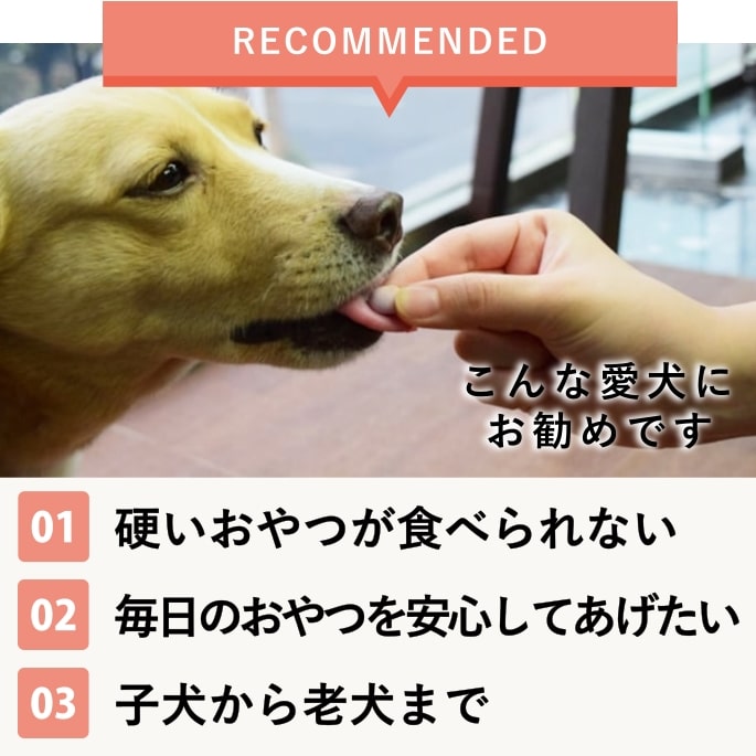 Ѥġ̵ź ʪߥåܡ (60g50g˽缡ڤؤ)̵źäġۡa0082ۡǤޤ