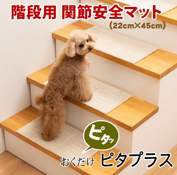 �����ѡ���������ޥå�22cm��45cm���������ä���10mm�����٤�ߤ��ա�5������