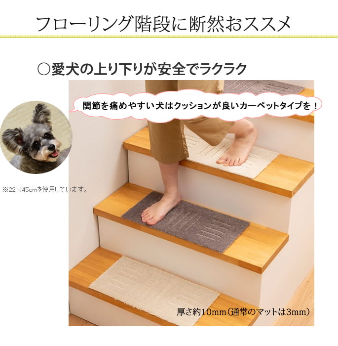 �����ѡ���������ޥå�22cm��45cm���������ä���10mm�����٤�ߤ��ա�5������