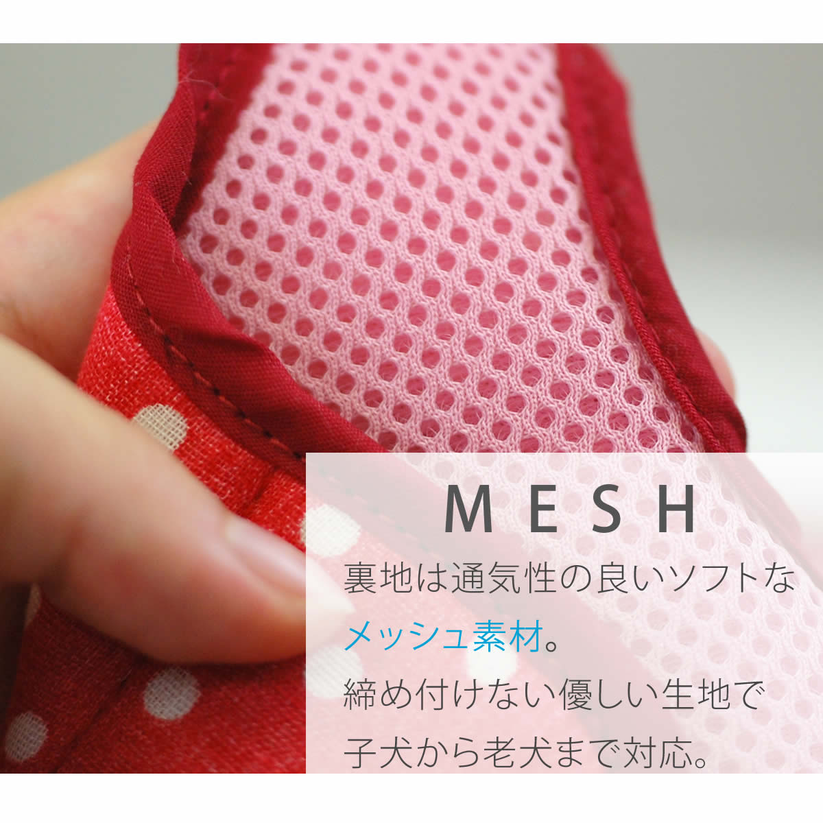 ASHU�������ϡ��ͥ���� S������(��������)�ڥ꡼�ɤ�������