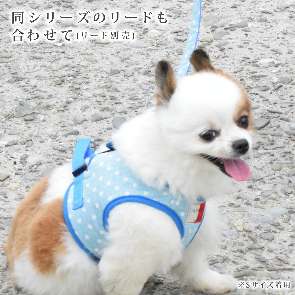 ASHU�������ϡ��ͥ���� S������(��������)�ڥ꡼�ɤ�������