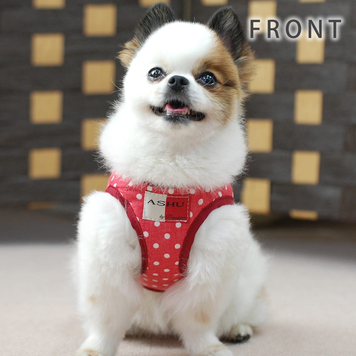 ASHU�������ϡ��ͥ���� S������(��������)�ڥ꡼�ɤ�������