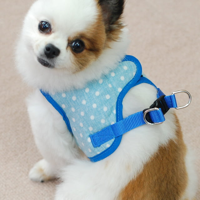 ASHU�������ϡ��ͥ���� S������(��������)�ڥ꡼�ɤ�������