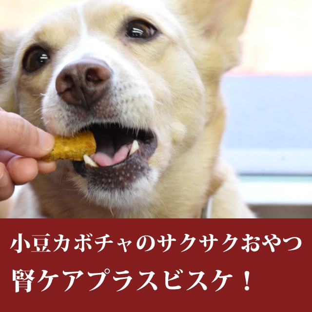 ̵źäġÿեåӥ2糧å