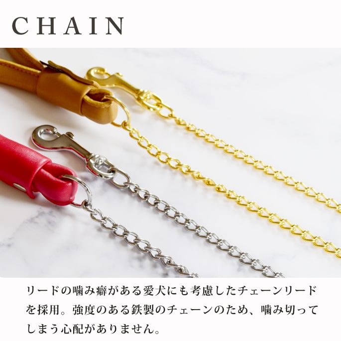 リーガギフトチェック　50,000円分 小型犬用リード｜ASHU ソフトレザー リード サイズ：S