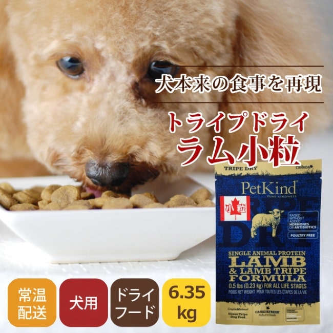 ������̵�������ޤ��աۥȥ饤�ץɥ饤���ɥå��ա��ɡ����꡼����ȥ饤�� SAP��ྮγ��6.35��g�����������Ǥ��ޤ���