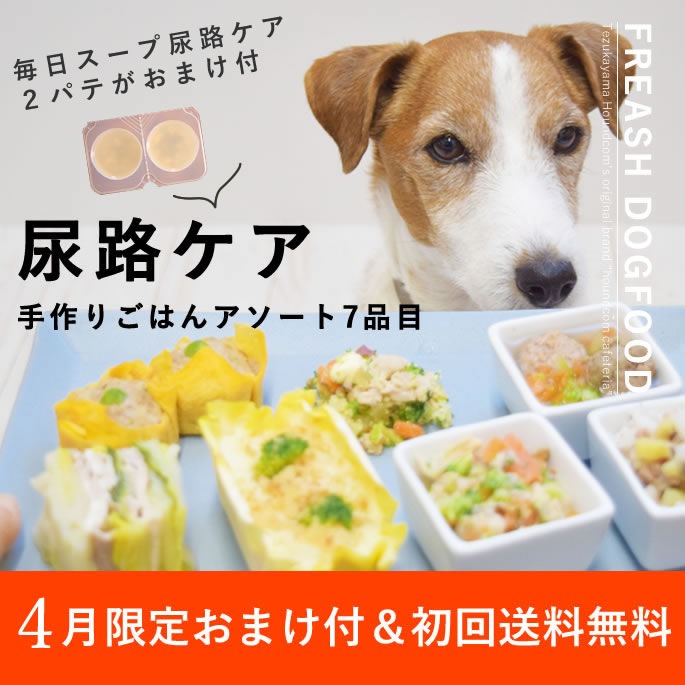 ��4�����ۤ��ޤ��դ����ڽ���������̵���۰����Ѽ��꿩��Ǣϩ�������ꤴ�Ϥ�7���ܥ��åȡڥϥ���ɥ��࿩Ʋ�ۡ���Ǣ���ͥ����7���ܡ�