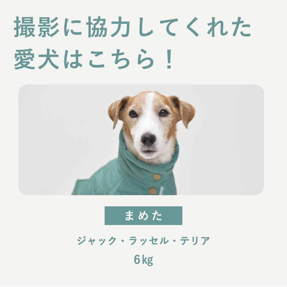 �� ���ѥ����� ����ù�̵�����ʥ���ȥϥ��ͥå� S/M/L������ �ǥ����ץƥ����� �ڥ��Υե�����