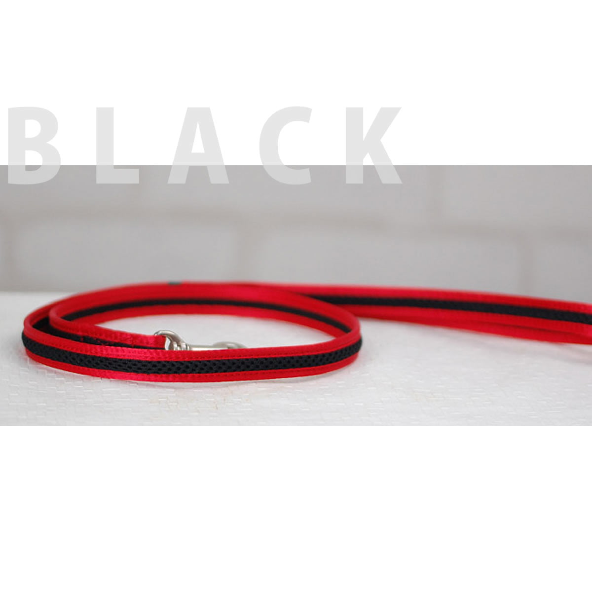 ѥ꡼ɡASHUϡͥ åѥ꡼ɡSڥϡͥ