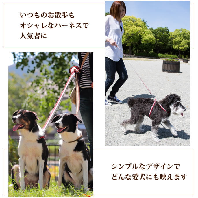 緿ѥϡͥASHUȥꥳ롡[ϡͥ]L