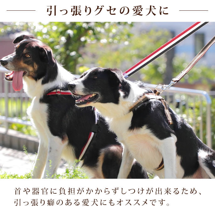 緿ѥϡͥASHUȥꥳ롡[ϡͥ]L