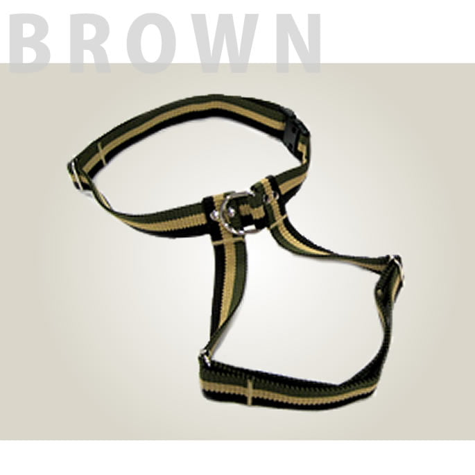 緿ѥϡͥASHUȥꥳ롡[ϡͥ]L