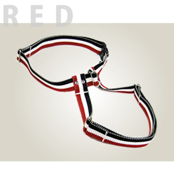 緿ѥϡͥASHUȥꥳ롡[ϡͥ]L