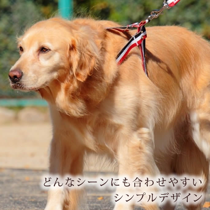 緿ѥϡͥASHUȥꥳ롡[ϡͥ]L