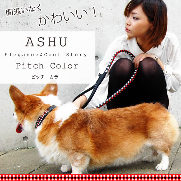 【新品未使用】AMUBIS 首輪 ASHU 犬 首輪 ワンライン カラーMサイズ : 安心おやつ歯みがき