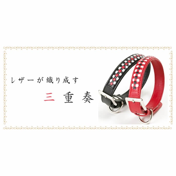 中型犬用首輪｜ASHU ピッチ カラー サイズ M｜ドックフード通販