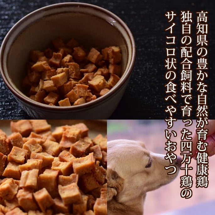 ���Ѥ���ġû������ܤ����ߥ����������ơ�����5�ޥ��åȢ���ǭ�ˤ⤴���Ѥ��������ޤ�