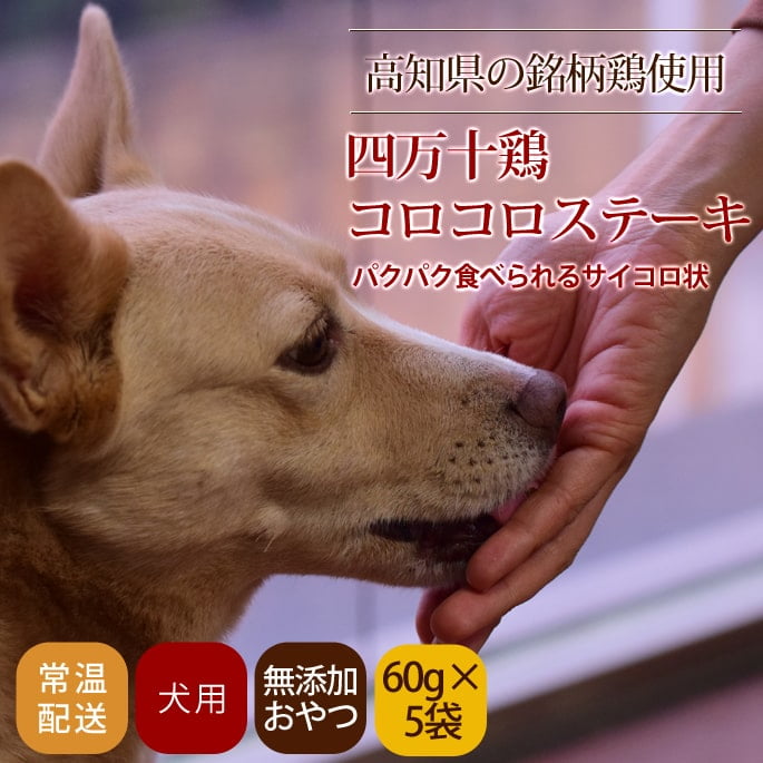 ���Ѥ���ġû������ܤ����ߥ����������ơ�����5�ޥ��åȢ���ǭ�ˤ⤴���Ѥ��������ޤ�