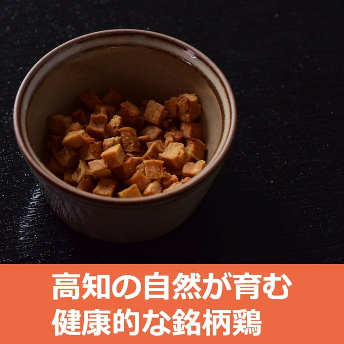 ���Ѥ���ġû������ܤ����ߥ����������ơ�����5�ޥ��åȢ���ǭ�ˤ⤴���Ѥ��������ޤ�