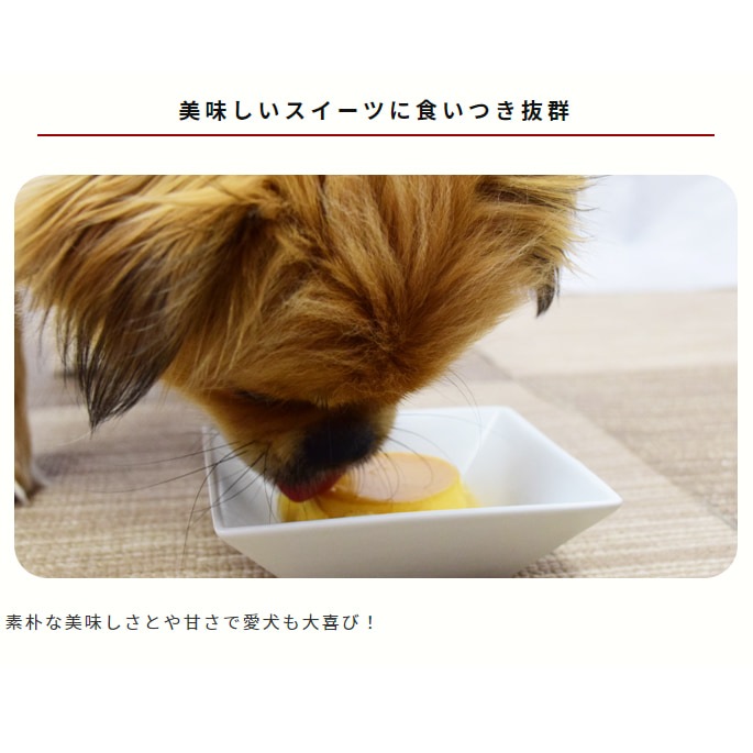  ϥɥ࿩Ʋμ ե6ġץ3ĥåȡڥϥɥ࿩Ʋ