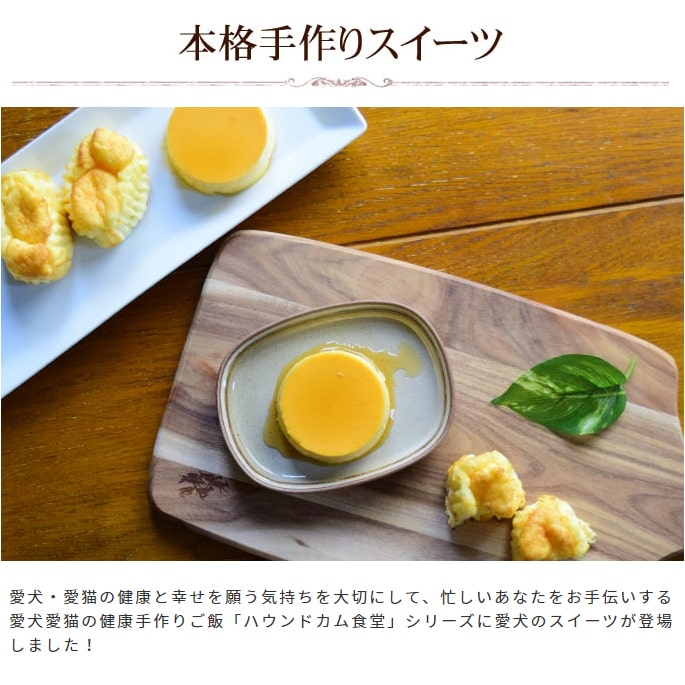  ϥɥ࿩Ʋμ ե6ġץ3ĥåȡڥϥɥ࿩Ʋ