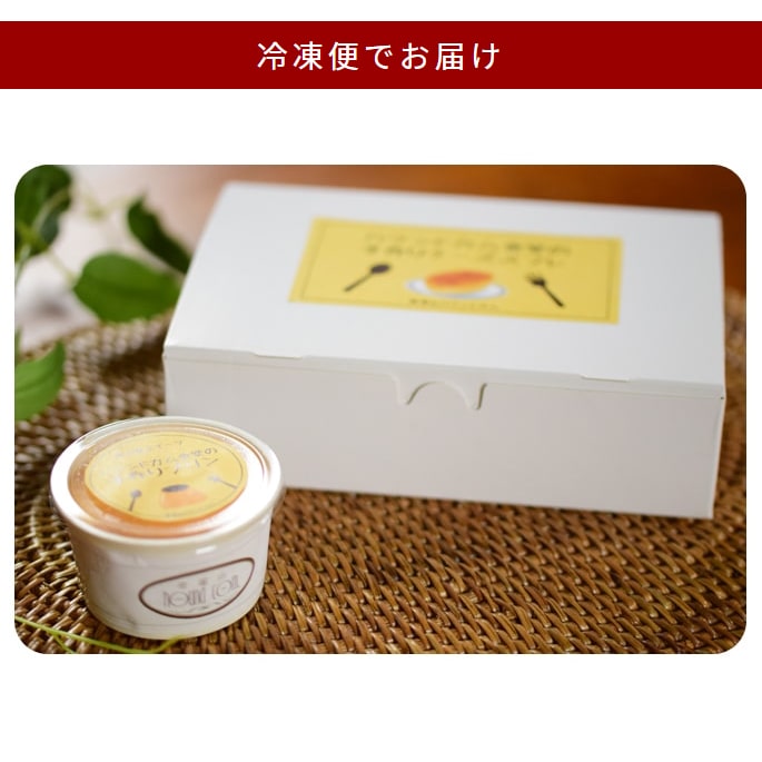  ϥɥ࿩Ʋμ ե6ġץ3ĥåȡڥϥɥ࿩Ʋ