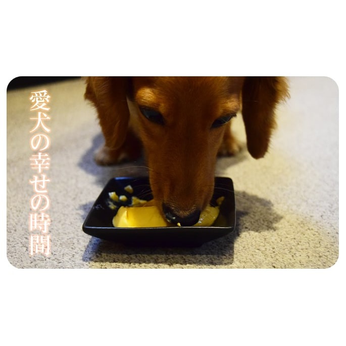  ϥɥ࿩Ʋμ ե6ġץ3ĥåȡڥϥɥ࿩Ʋ