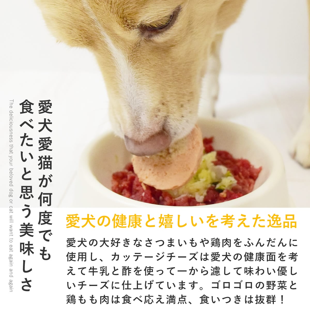 ������ ���ꤴ�Ϥ� �ܤ���ڤΥ��åơ���������6��/12��/24��/���åȡڥѥå�����������ñ�̤��ѹ��ˤʤ�ޤ����� �������ء� �ڥϥ���ɥ��࿩Ʋ��